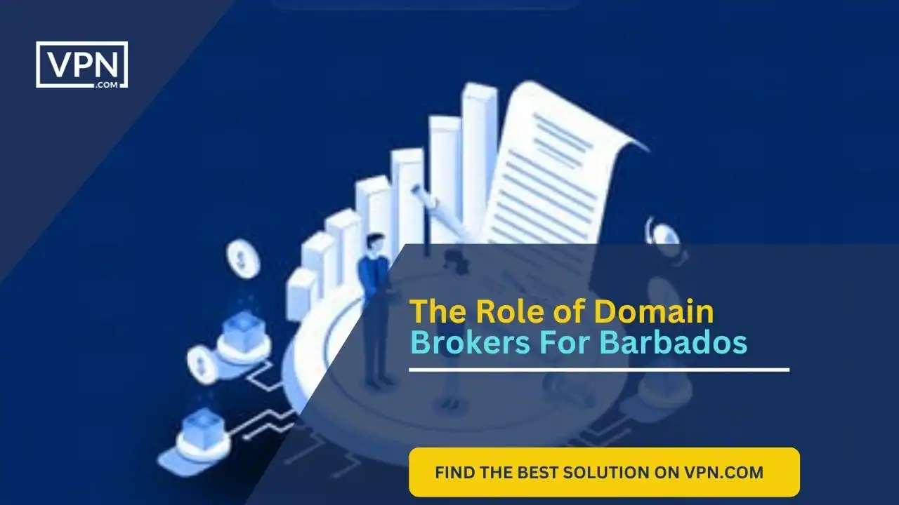 The Role of Domain Brokers For Barbados