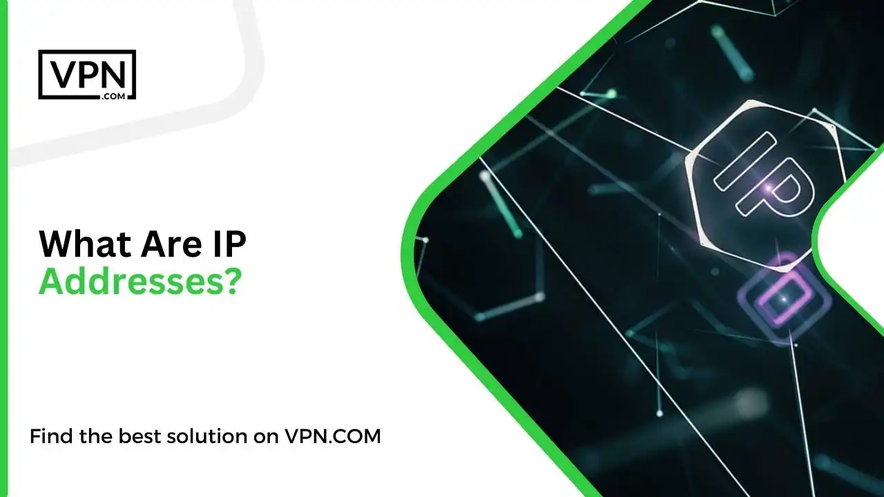 What Are IP Addresses