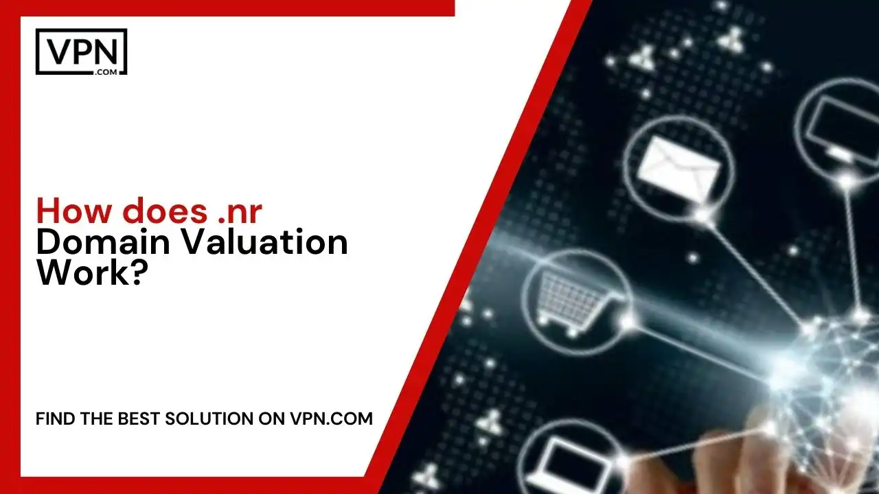 How does .nr Domain Valuation Work
