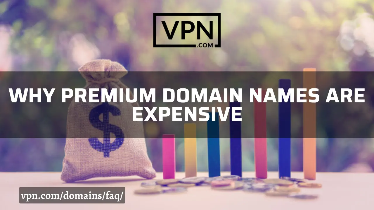 The text in the image says, why premium domain names are expensive and the background of the image shows Dollars bag and the prices