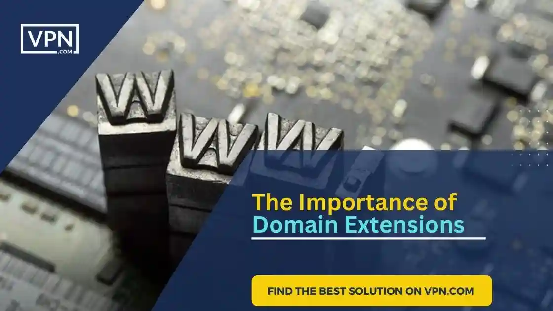The image text shows The Importance of Domain Extensions