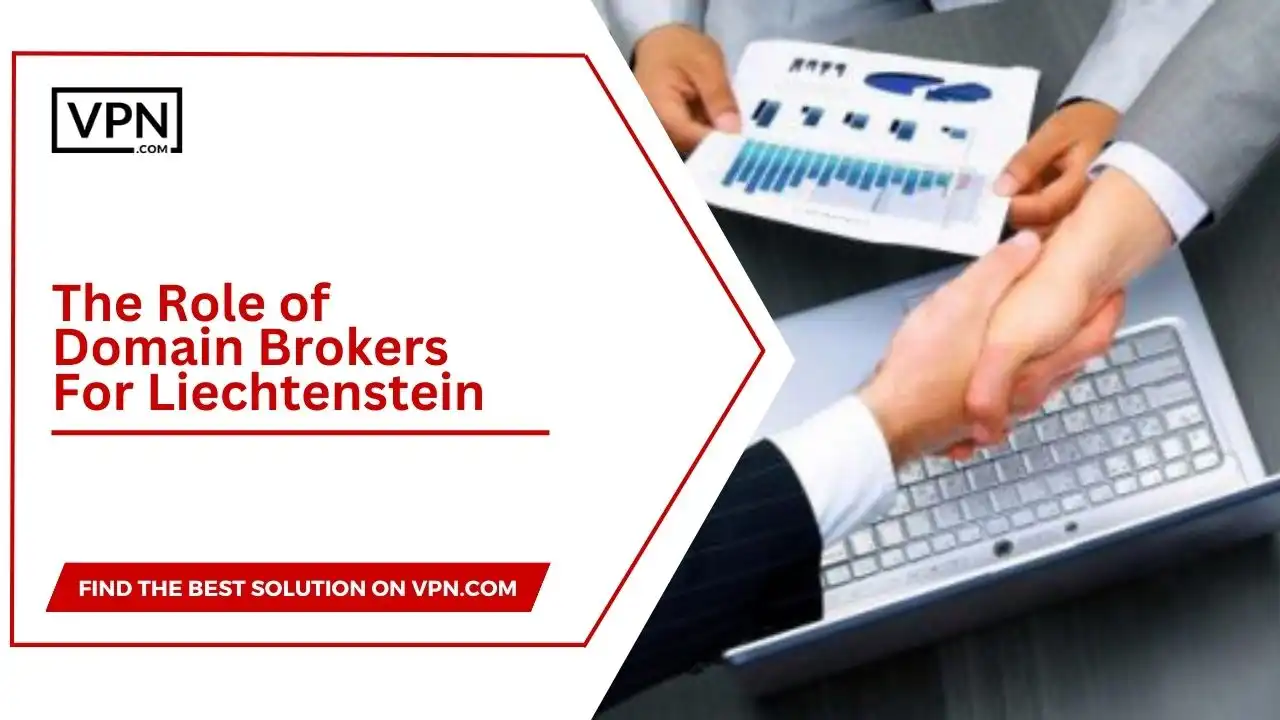 the text in the image shows The Role of Domain Brokers For Liechtenstein