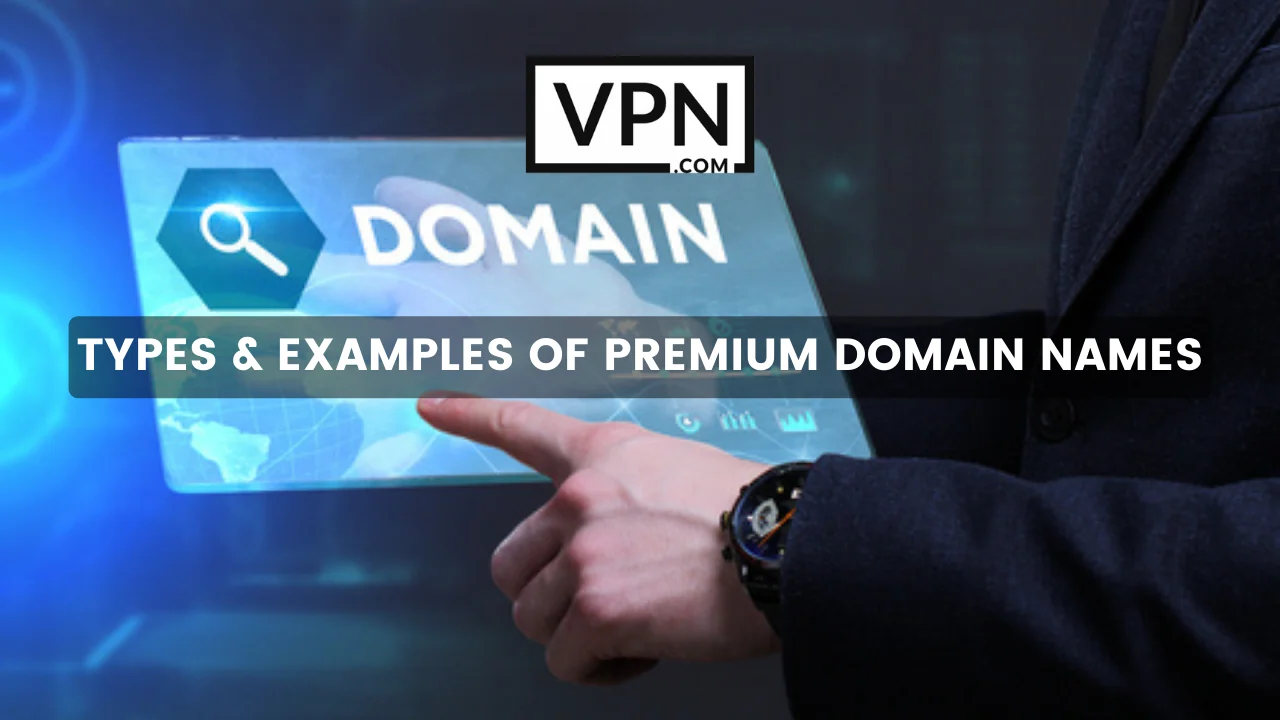 The text in the image says, types of premium domain names and some examples