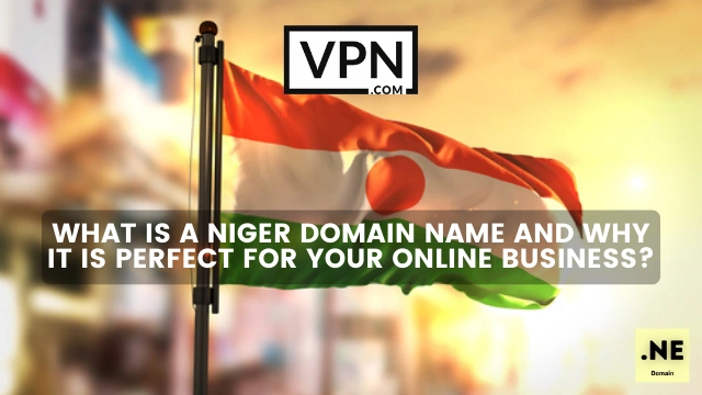 The text in the image says, what is .ne domain name and the background shows flag of Niger