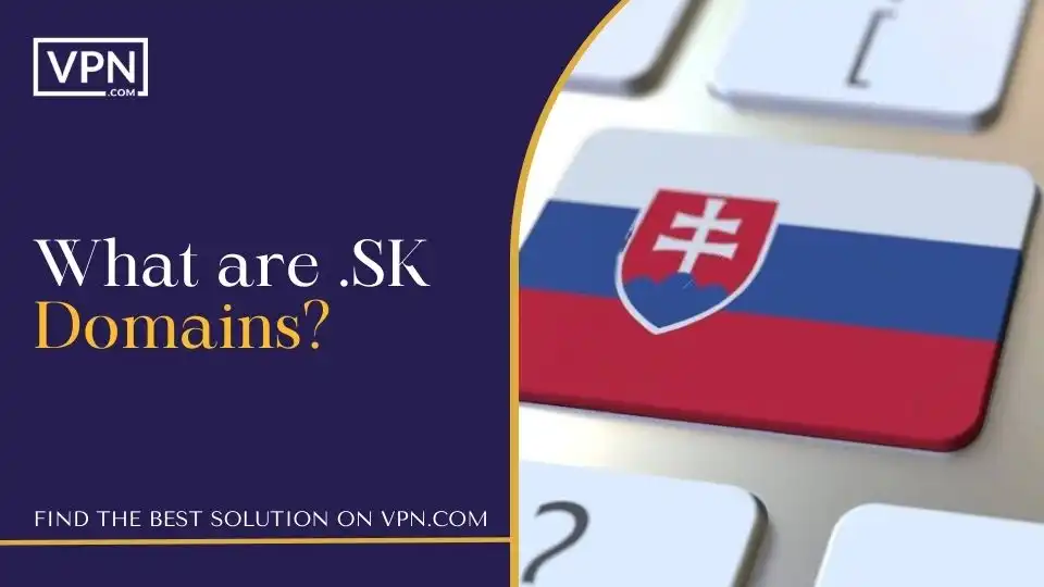 What are .SK Domains