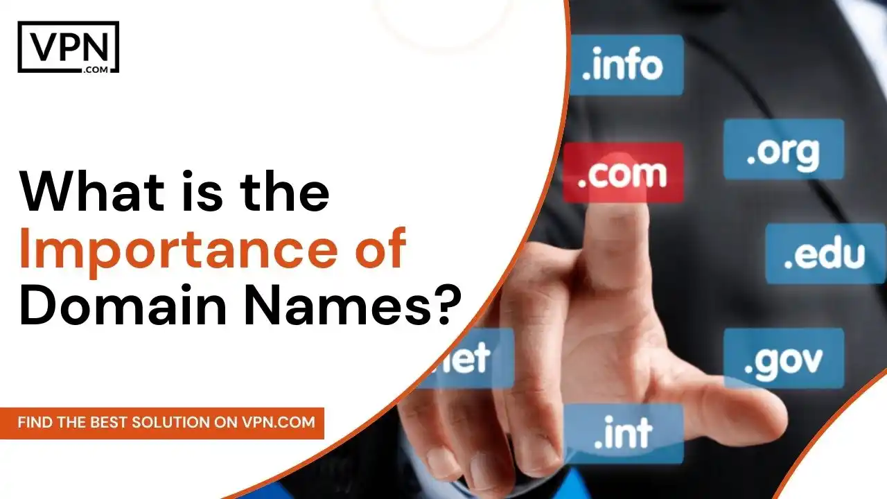 What is the Importance of Domain Names