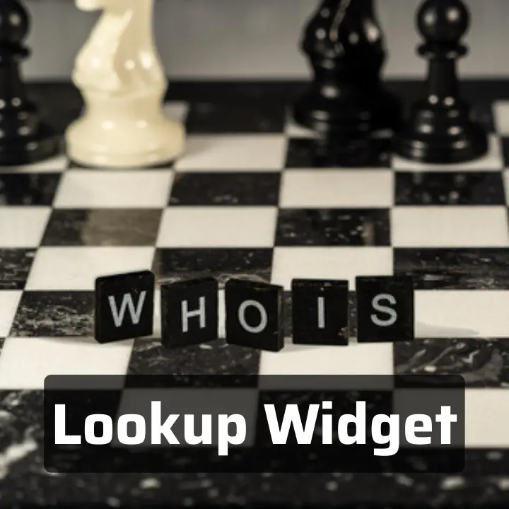 The image shows a chess board on which WHOIS Lookup Widget written for website domain
